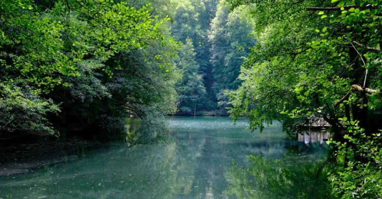 Abant mı Gölcük Tabiat Parkı mı? Bolu’da Günübirlik Gezi İçin Hangisi Seçilmeli?