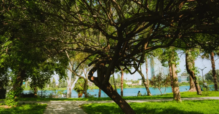 Adana’da Çocuklarla Ne Yapılır? Sıcak Havaya Göre Kısa Gezi Planı