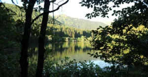 Borçka Karagöl mü Şavşat Karagöl mü? Artvin Gezisi İçin Doğru Gölü Seçme Rehberi