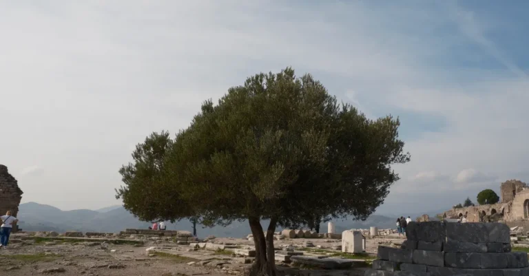 İzmir’den Bergama’ya Günübirlik Gidilir mi? Akropol, Asklepion ve Merkez İçin Gezi Planı