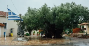 Kazdağları’nda Nerede Kalınır? Zeytinli, Altınoluk ve Yeşilyurt Arasında Konaklama Seçimi