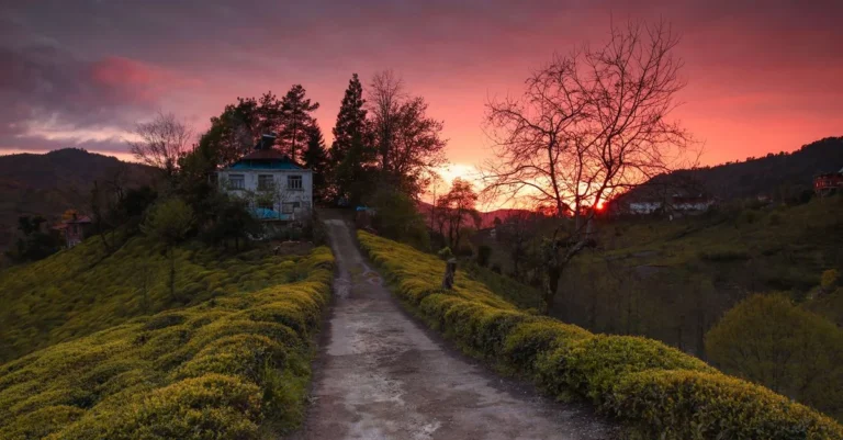 Rize’de 2 Günde Ne Yapılır? Merkez, Çayeli ve Çamlıhemşin Arasında Gezi Rotası