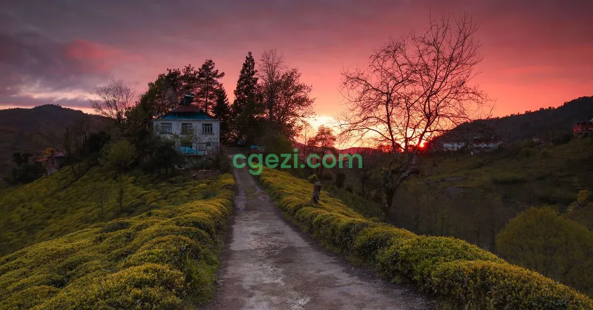 Rize’de 2 Günde Ne Yapılır? Merkez, Çayeli ve Çamlıhemşin Arasında Gezi Rotası