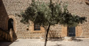 Midyat’ta Taş Konaklar Nasıl Gezililir? Eski Midyat İçin Fotoğraf ve Yürüyüş Rotası